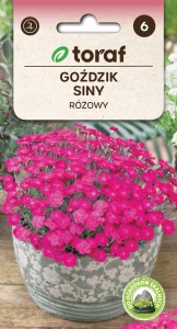 Goździk siny 0,2 g  / T /