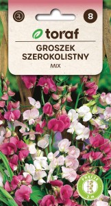 Groszek szerokolistny  1g / T /