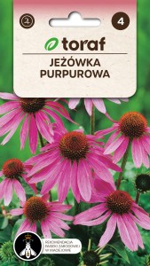 Jeżówka purpurowa  1g / T /