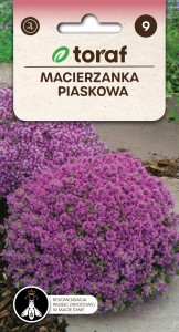 Macierzanka piaskowa 0,1g  / T /