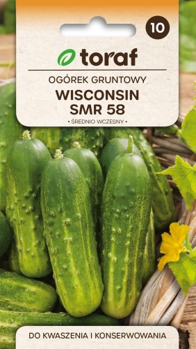 Ogórek gruntowy Wisconsin SMR 58  5g / T /