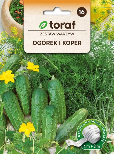 Zestaw warzyw - koper i ogórek taśma  6 m  / T /