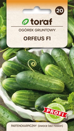 Ogórek Orfeus F1 2g  / T /