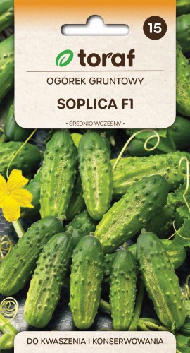 Ogórek Soplica F1 5g  / T /