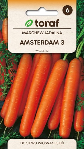 Marchew Amsterdam 3 wczesna 5g  / T /