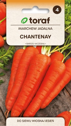 Marchew Chantenay  5g  / T /