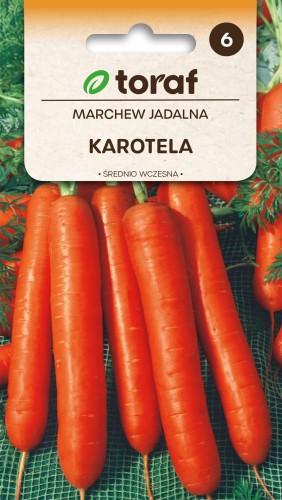 Marchew Karotela  5g  / T /