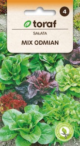 Sałata mix  odmian 1g  / T /