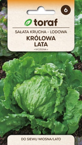 Sałata krucha  Królowa Lata 1g  / T /