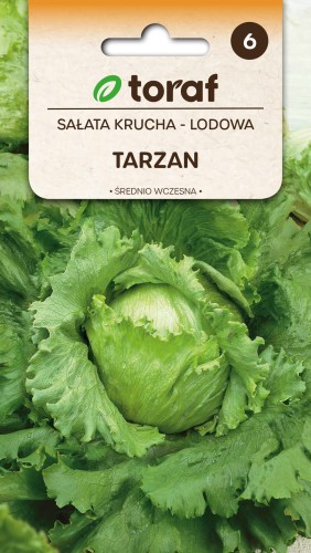 Sałata krucha Tarzan 1g  / T /