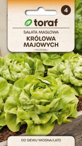 Sałata masłowa Królowa Majowych 2g  / T /