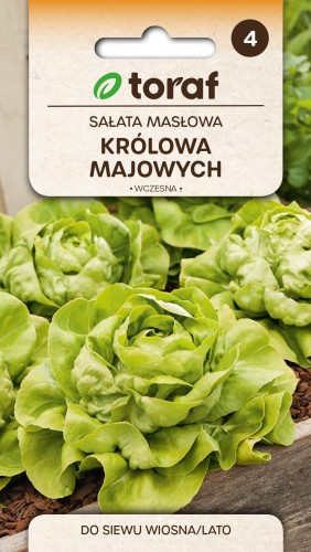 Sałata masłowa Królowa Majowych 2g  / T /