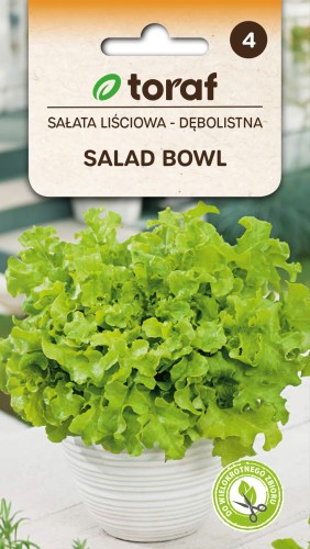 Sałata liściowa  Salad Bowl zielona 1g  / T /