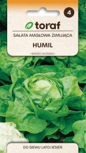 Sałata masłowa Humil zimująca 1g  / T /