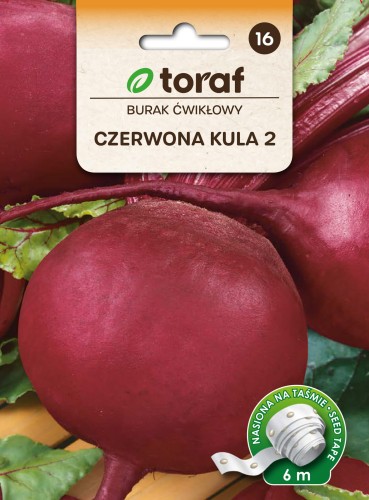Burak ćwikłowy Czerwona Kula 2 taśma 6m  / T /