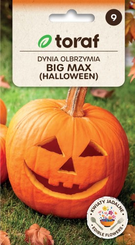 Cukinia olbrzymia BIG MAX  4 g  / T /