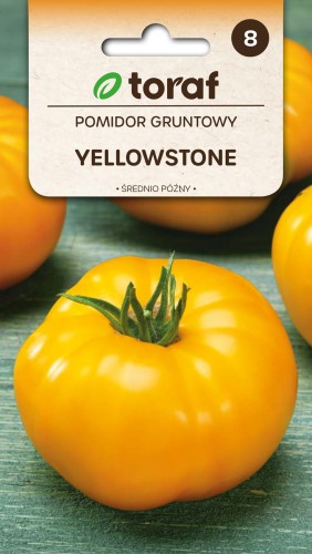 Pomidor gruntowy Yellowstone 0,3g  / T /