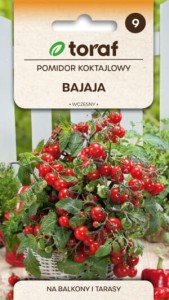 Pomidor koktajlowy Bajaja 0,3g  / T /