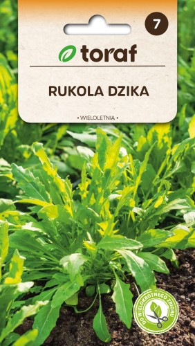 Rukola dzika wieloletnia 1g  / T /
