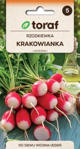 Rzodkiewka Krakowianka 10g  / T /