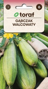 Gąbczak walcowaty 1g  / T /