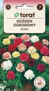 Goździk ogrodowy Szabo mix  0,5g  / T /