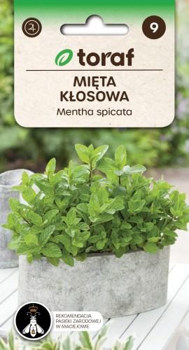 Mięta kłosowa 0,1g  / T /