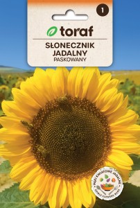 Słonecznik jadalny paskowany gruby 10g  / T /