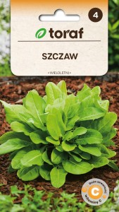 Szczaw Lyoński wieloletni 3g  / T /
