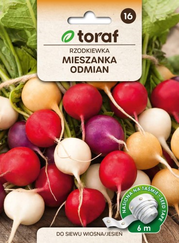 Rzodkiewka mix odmian -  taśma 6m   / T /
