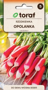 Rzodkiewka Opolanka 10g  / T /
