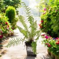 image-Photoroom - 2025-05-30T105943.536.jpg