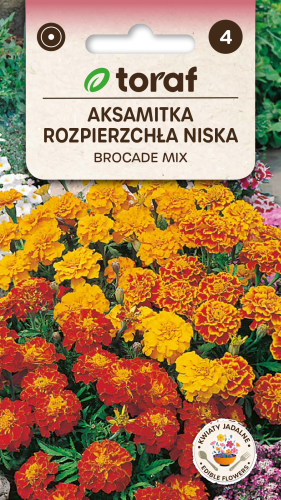 Aksamitka rozpierzchła Brocade 1g  / T /