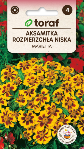 Aksamitka rozpierzchła Marietta 1g  / T /