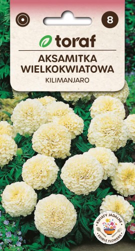 Aksamitka wielkokwiatowa Kilimanjaro 0,3 g  / T /