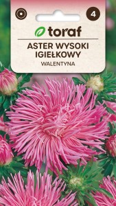 Aster igiełkowy różowy Walentyna 1g  / T /