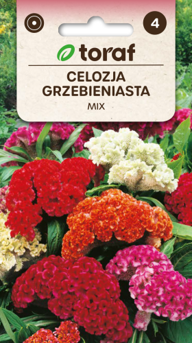 Celozja grzebieniasta mix  0,5g  / T /