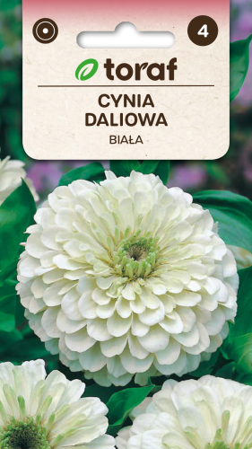 Cynia daliowa biała 1g  / T /