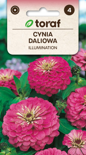 Cynia daliowa Illumination 1g  / T /