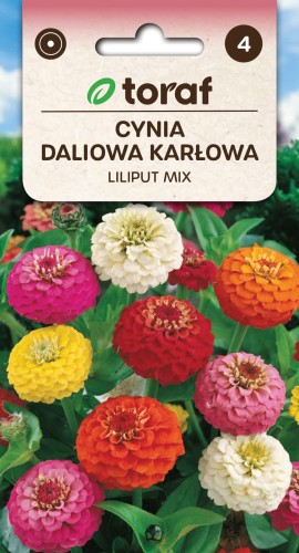 Cynia daliowa karłowa Liliput mix 0,5g  / T /