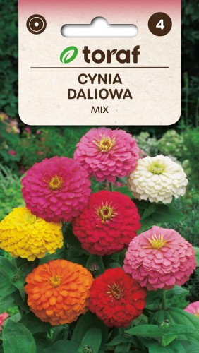 Cynia daliowa mix 1g  / T /