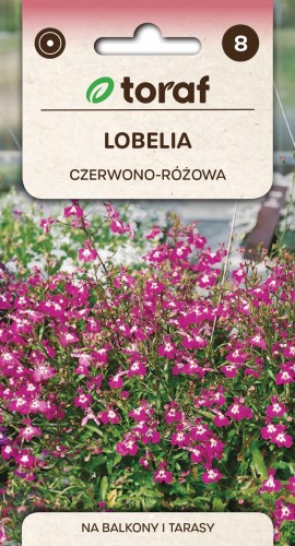 Lobelia czerwona 0,1g  / T /
