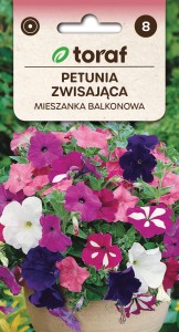 Petunia zwisająca mix balkonowy  0,3g  / T /