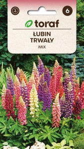 Łubin trwały mix 1g  / T /
