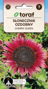 Słonecznik ozdobny Cherry Queen  2g  / T /