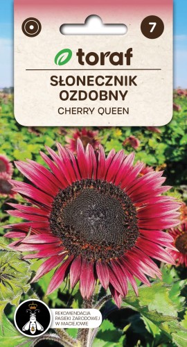 Słonecznik ozdobny Cherry Queen  2g  / T /