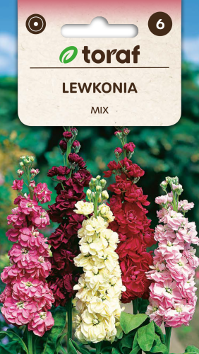 Lewkonia letnia mix  0,5g  / T /