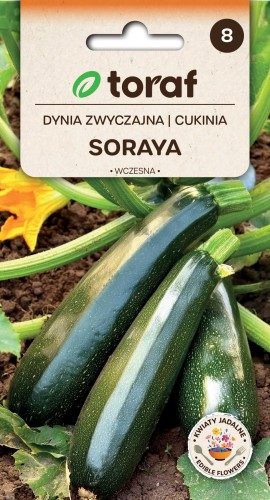 Cukinia Soraya 5g  / T /