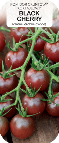 Pomidor koktajlowy Black Cherry 0,3g  / T /