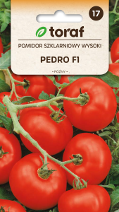 Pomidor szklarniowy Pedro F1  0,2g  / T /